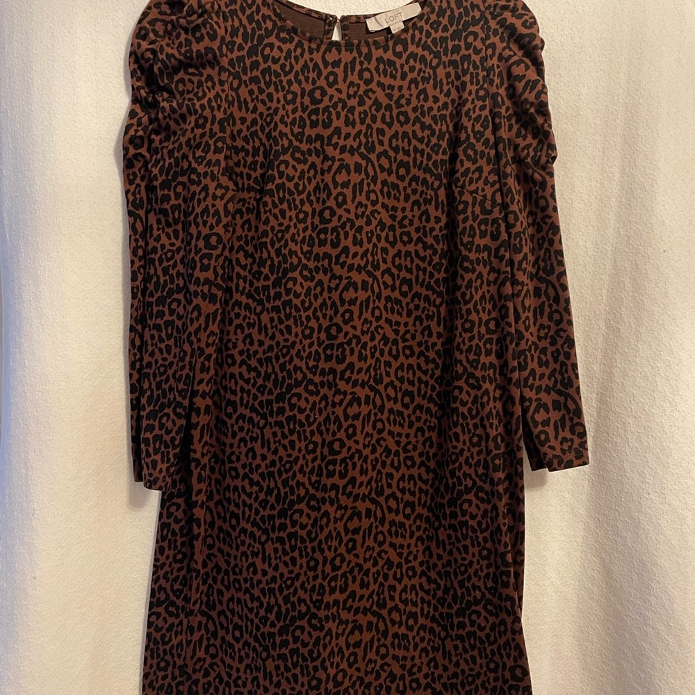Loft Leopard Print Brown Dress